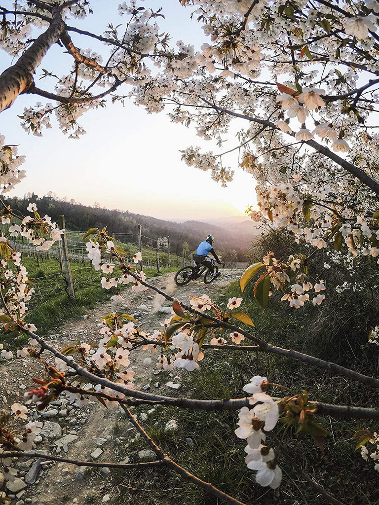 GoPro-HERO9-Black-Waterproof-Action-Camera-with-Front-LCD-and-Touch-Rear-Screens-5K-Ultra-HD-Video-1080p-demo-flower.