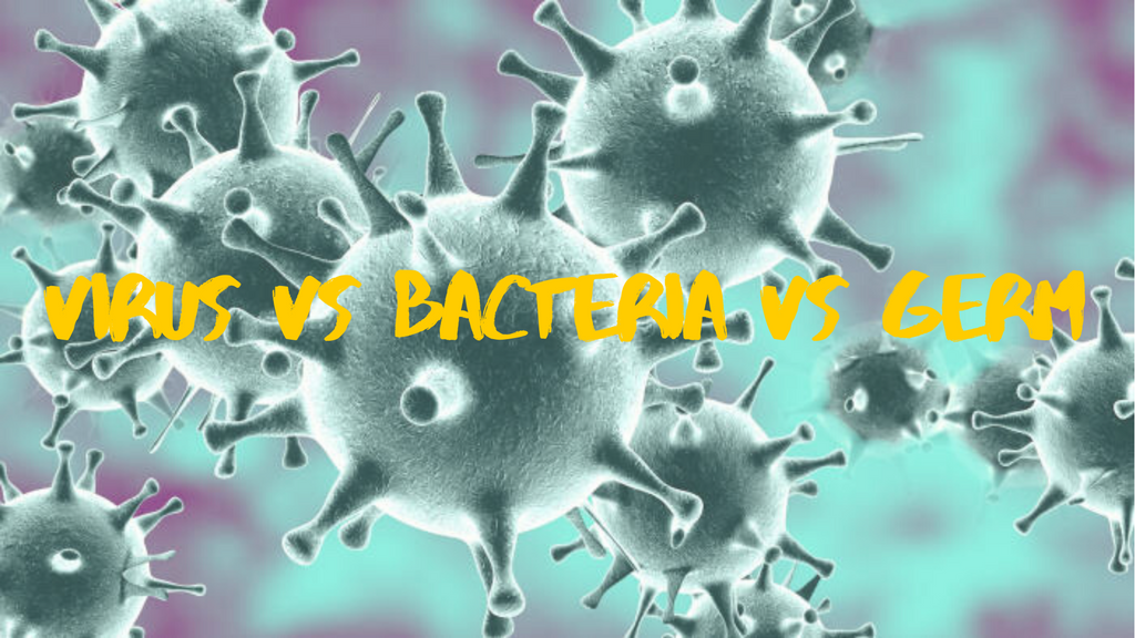 病毒(Viruses)、細菌(Bacteria)、病菌(Germs)，你能分得清嗎?